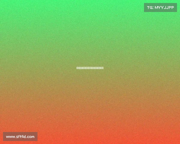 网球赛志愿者:热情服务与精彩赛事共舞